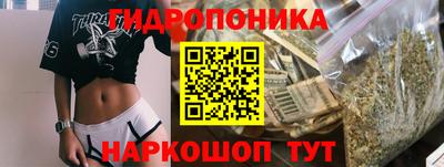 бошки Новодвинск