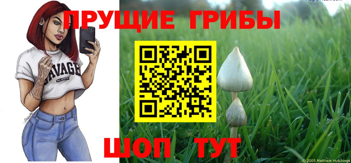 Бахчисарай  Галлюциногенные грибы MAGIC MUSHROOMS  Вход с VPN  Псилоцибиновые грибы Cubensis 